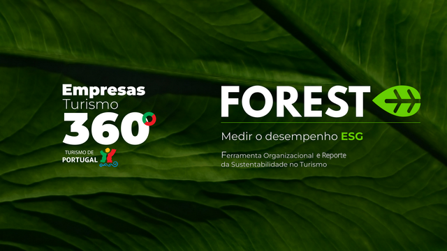 Logos Forest e Empresas Turismo 360º com fundo verde